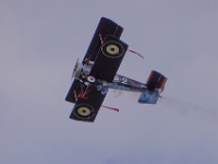 DSC02855